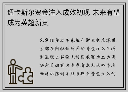 纽卡斯尔资金注入成效初现 未来有望成为英超新贵