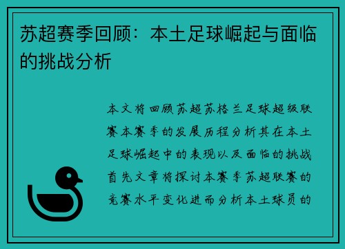 苏超赛季回顾：本土足球崛起与面临的挑战分析